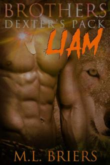 Brothers - Dexter's Pack - Liam (Book Four)