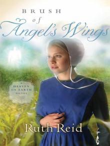 Brush of Angel's Wings Read online