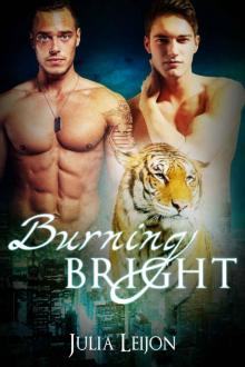 Burning Bright: A Spicy M/M Weretiger Heist Romance