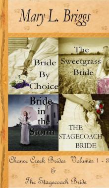 Chance Creek Brides (Volumes 1-3 & the Stagecoach Bride) Read online