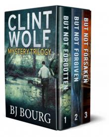 Clint Wolf Mystery Trilogy: Boxed Set Read online