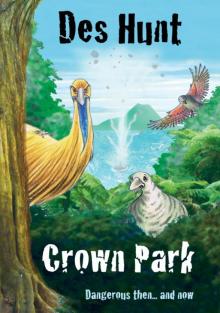 Crown Park Read online