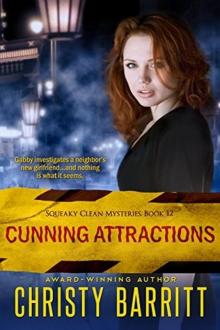 Cunning Attractions Read online