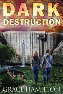 Dark Destruction (EMP Lodge Series Book 4) Read online