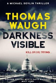 Darkness Visible (Michael Devlin Thriller Book 2) Read online