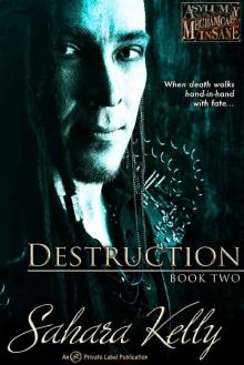 Destruction (Asylum for the Mechanically Insane Book 2) Read online