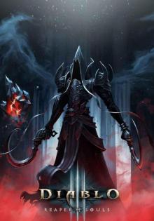 Diablo 3: The Reaper of Souls Read online