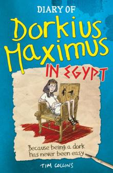 Diary of Dorkius Maximus in Egypt Read online
