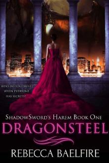 Dragonsteel: Shadowsword's Harem (Book One) (Reverse Harem Urban Fantasy Romance) Read online