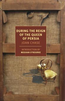 During the Reign of the Queen of Persia Read online