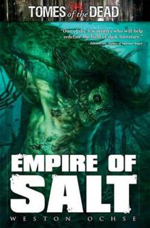Empire Of Salt Read online