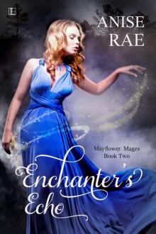 Enchanter's Echo Read online