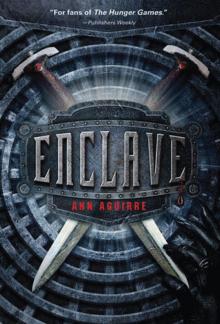 Enclave r-1 Read online
