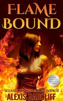 Flame Bound (Seeking the Dragon Book 2)