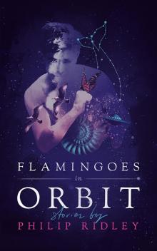 Flamingoes in Orbit Read online