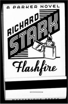 Flashfire p-19 Read online