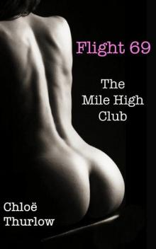 Flight 69: The Mile High Club (Hot Sex with a Handsome Stranger) Read online