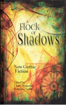 Flock of Shadows