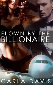 Flown By The Billionaire Read online
