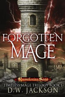 Forgotten Mage Read online