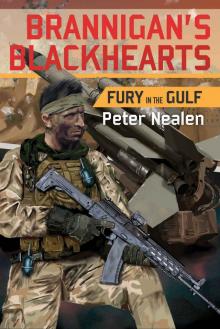 Fury in the Gulf (Brannigan's Blackhearts Book 1) Read online