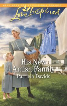 His New Amish Family Read online