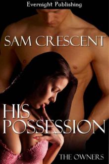 His Possession (The Owners) Read online