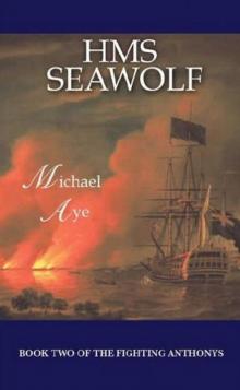 HMS Seawolf Read online