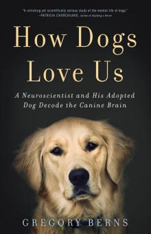 How Dogs Love Us: A Neuroscientist and His Adopted Dog Decode the Canine Brain Read online