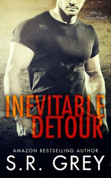 Inevitable Detour (Inevitability Book 1) Read online