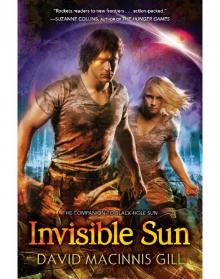 Invisible Sun Read online