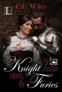 Knight Furies Read online