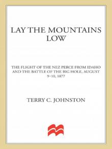 Lay the Mountains Low Read online