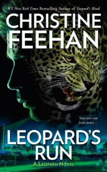 Leopard's Run Read online