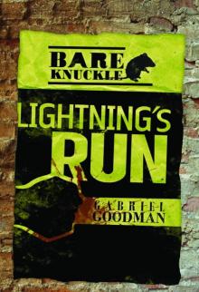 Lightning's Run Read online