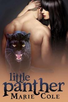 Little Panther Read online