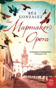 Mapmaker's Opera Read online