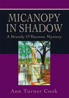 Micanopy in Shadow Read online