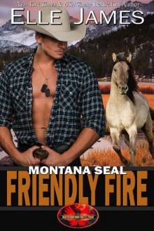Montana SEAL Friendly Fire (Brotherhood Protectors Book 11) Read online