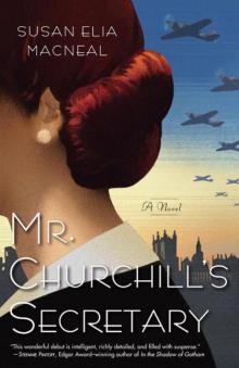 Mr. Churchill's Secretary: A Novel Read online