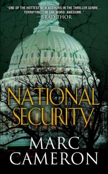 National Security Read online
