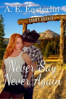 Never Say Never Again Read online