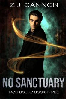 No Sanctuary Read online