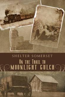On the Trail to Moonlight Gulch Read online