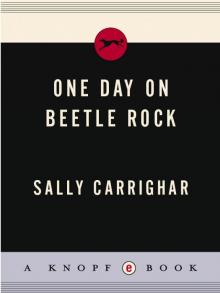 One Day On Beetle Rock