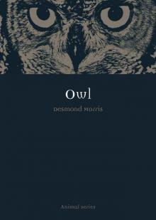 Owl Read online