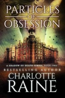 Particles of Obsession (A Shadow of Death Romantic Suspense Book 2) Read online