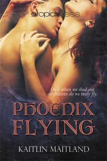 Phoenix Flying Read online