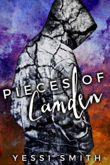 Pieces of Camden (Hole-Hearted #1) Read online