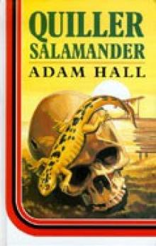 Quiller Salamander q-18 Read online